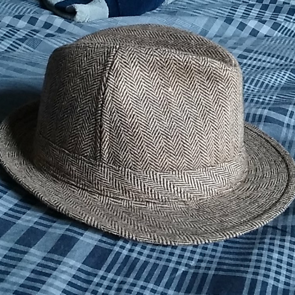 Mens brown fidora
